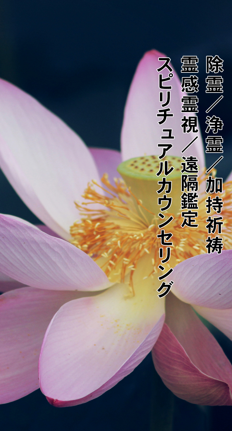 すべて解決 - 清水麗琴の悩み相談